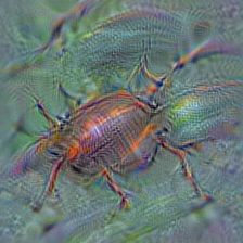 n02167151 ground beetle, carabid beetle
